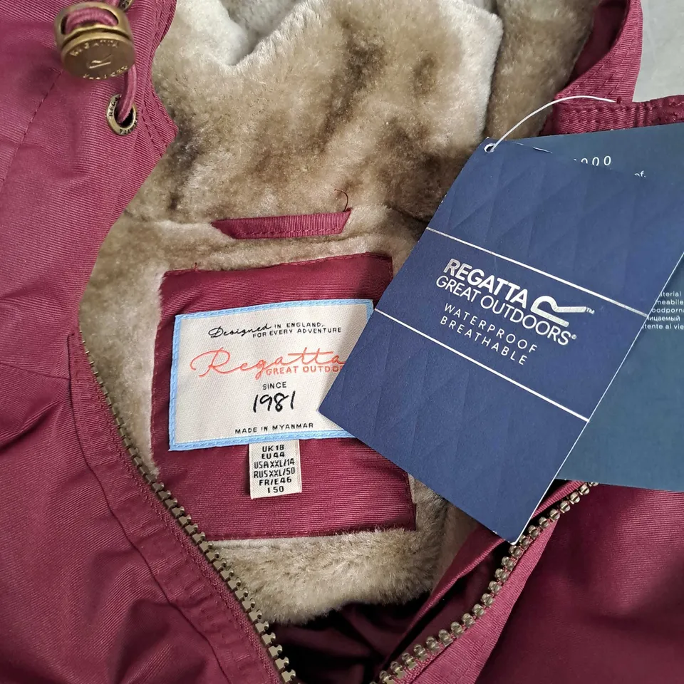 REGATTA ISOTEX 5000 COAT IN BURGUNDY - SIZE 18
