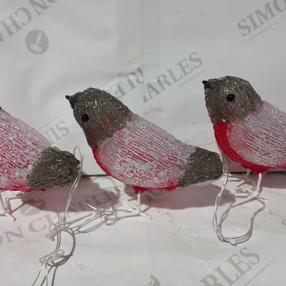 SET ACRYLIC LIGHT ROBIN OUTDOOR CHRISTMAS DECORATIONS RRP £29.99