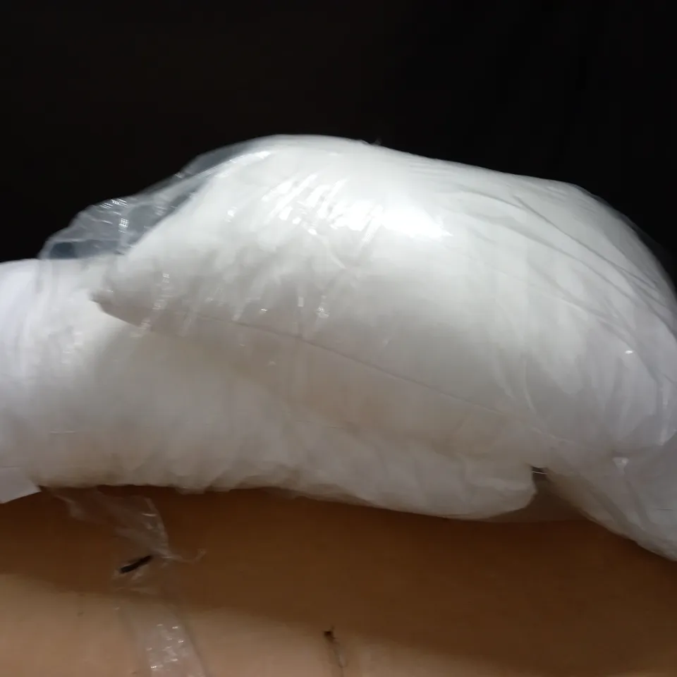 LOT OF 2 PILLOWS