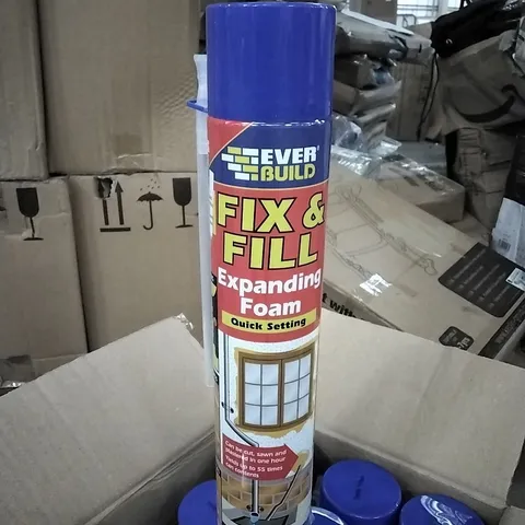 BOXED 12PK EVERBUILD FIX & FILLER EXPANDING FOAM - 1 BOX