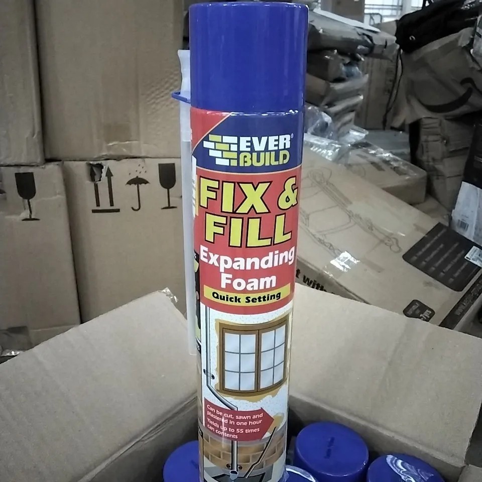 BOXED 12PK EVERBUILD FIX & FILLER EXPANDING FOAM - 1 BOX