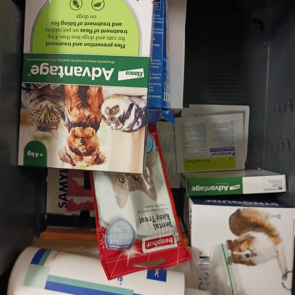 APPROXIMATELY 20 ASSORTED PET CARE/MEDICINE PRODUCTS TO INCLUDE ELANCO FLEA PREVENTION, PURINA FORTIFLORA, CAT DENTAL TREATMENT ETC 