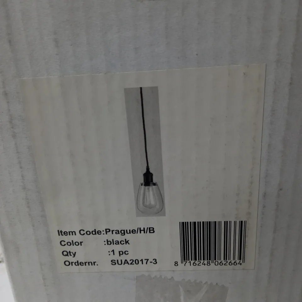 1 LIGHT MINI PENDANT IN BLACK