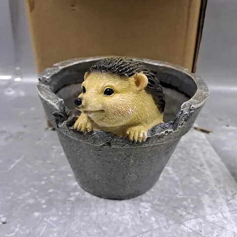 BOXED HEDGEHOG ORNAMENT PLANTPOT 