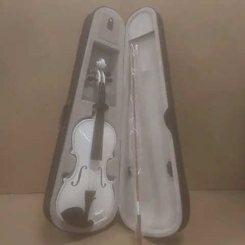VIOLIN WITH CARRYCASE 