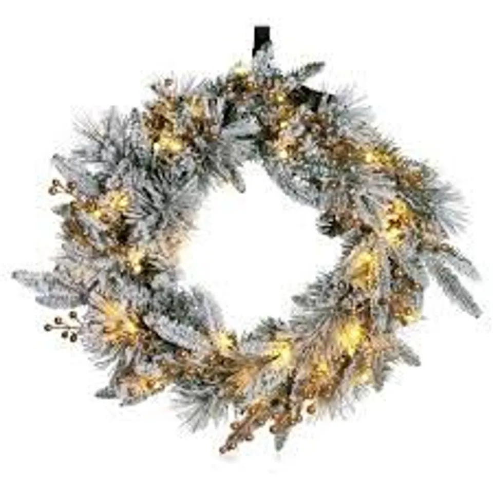 SARA BY SARA DAVIES 50CM PRE LIT WINTERLUXE FIR WREATH