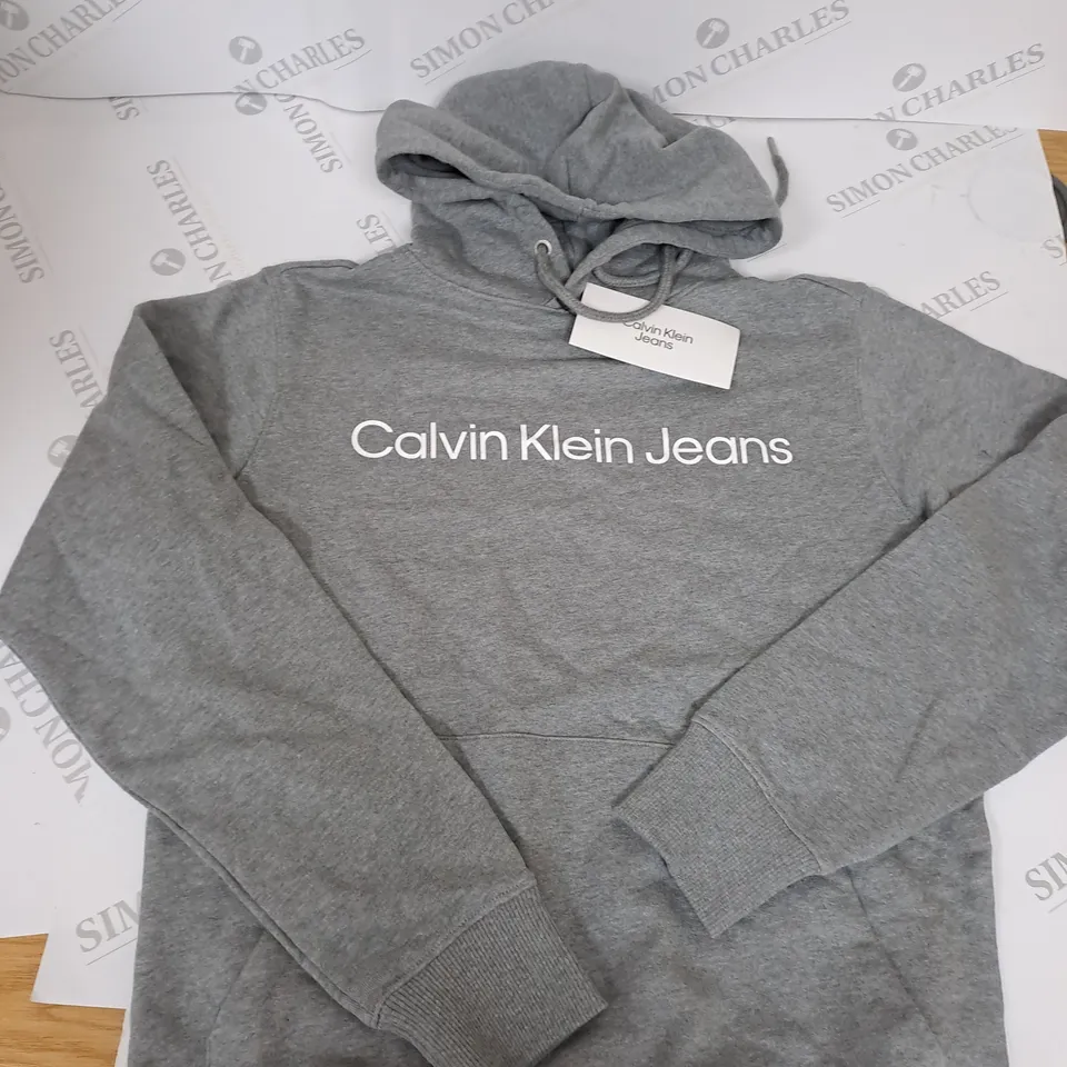 CALVIN KLEIN JEANS GRAPHIC HOODIE IN GREY SIZE XS