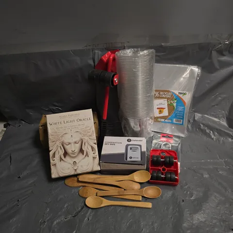APPROXIMATELY 10 ASSORTED HOUSEHOLD ITEMS TO INCLUDE - ALANA FAIRCHILD WHITE LIGHT ORACLE - PLASTIC WALLETS - DEFENDER KEY SAFE - ETC