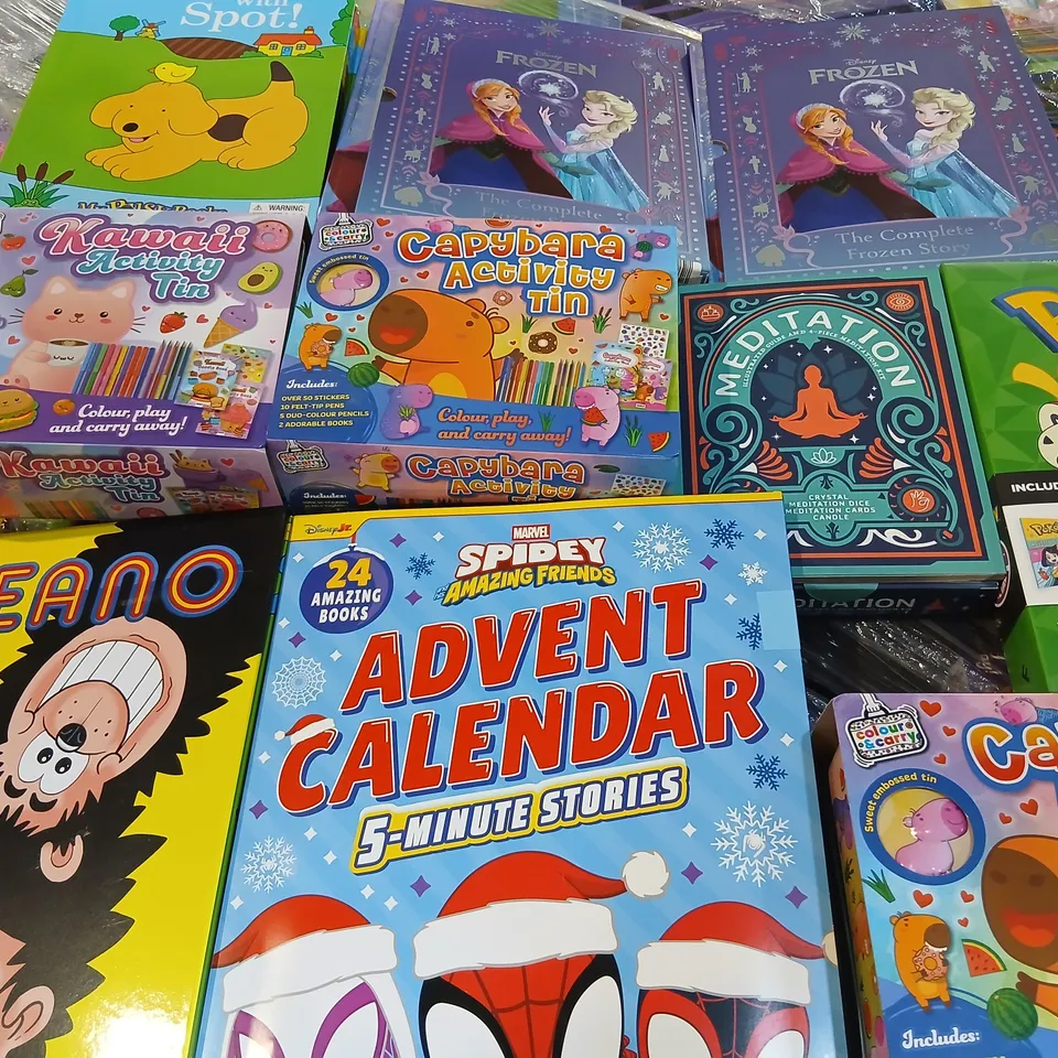 LARGE QUANTITY OF ASSORTED BOOKS