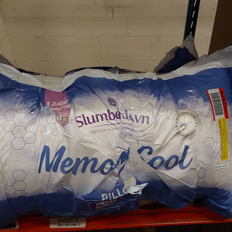 BAGGED SET OF 2 SLUMBERDOWN MEMORY FOAM COOLING PILLOWS (1 ITEM)