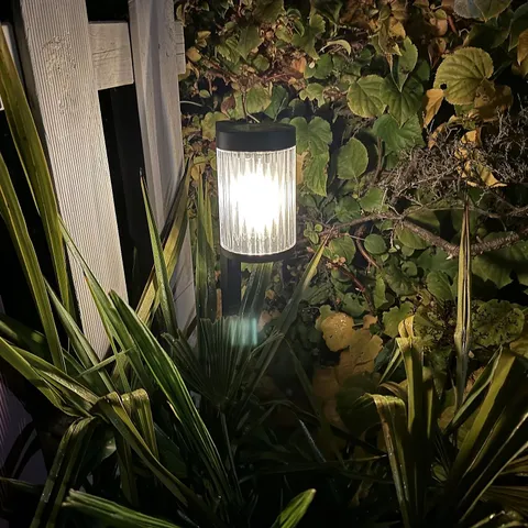 FLOURISH SOLAR PATHWAY LIGHT