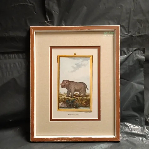 FRAMED ANTIQUE ART PRINT OF A HIPPOPOTAMUS - COLLECTION ONLY