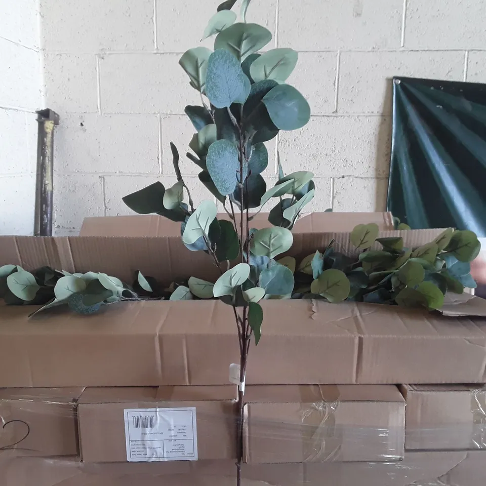 PALLET OF APPROXIMATELY 80 BOXES OF 24 INDIVIDUAL EUCALYPTUS BRANCHES