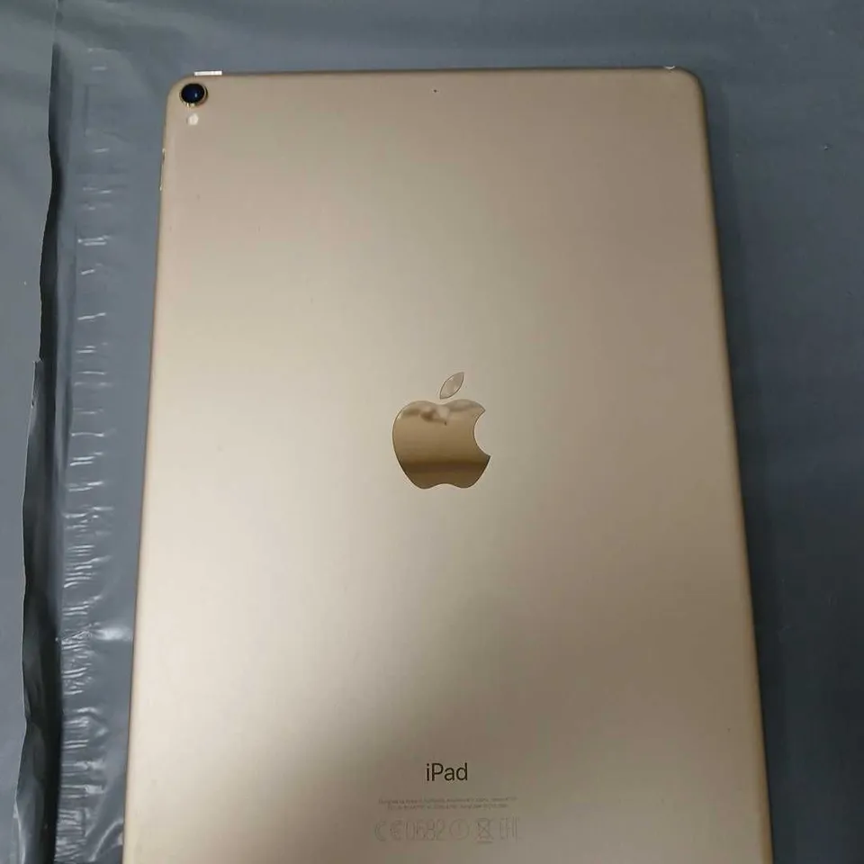 APPLE IPAD GOLD