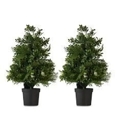 GARDEN REFLECTIONS 'DRESS YOUR DOOR COLLECTION' 2X 60CM PRE-LIT