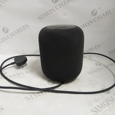 APPLE HOME SPEAKER