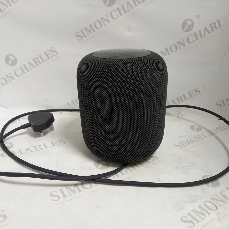 APPLE HOME SPEAKER