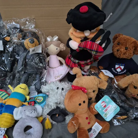 LOT OF 13 ASSORTED PLUSHIES 