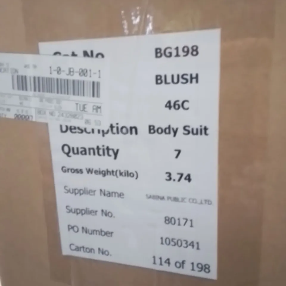 BOXED BRAND NEW APPROXIMATELY 7 SIMPLY BE BLUSH BODY SUITS SIZE 46C
