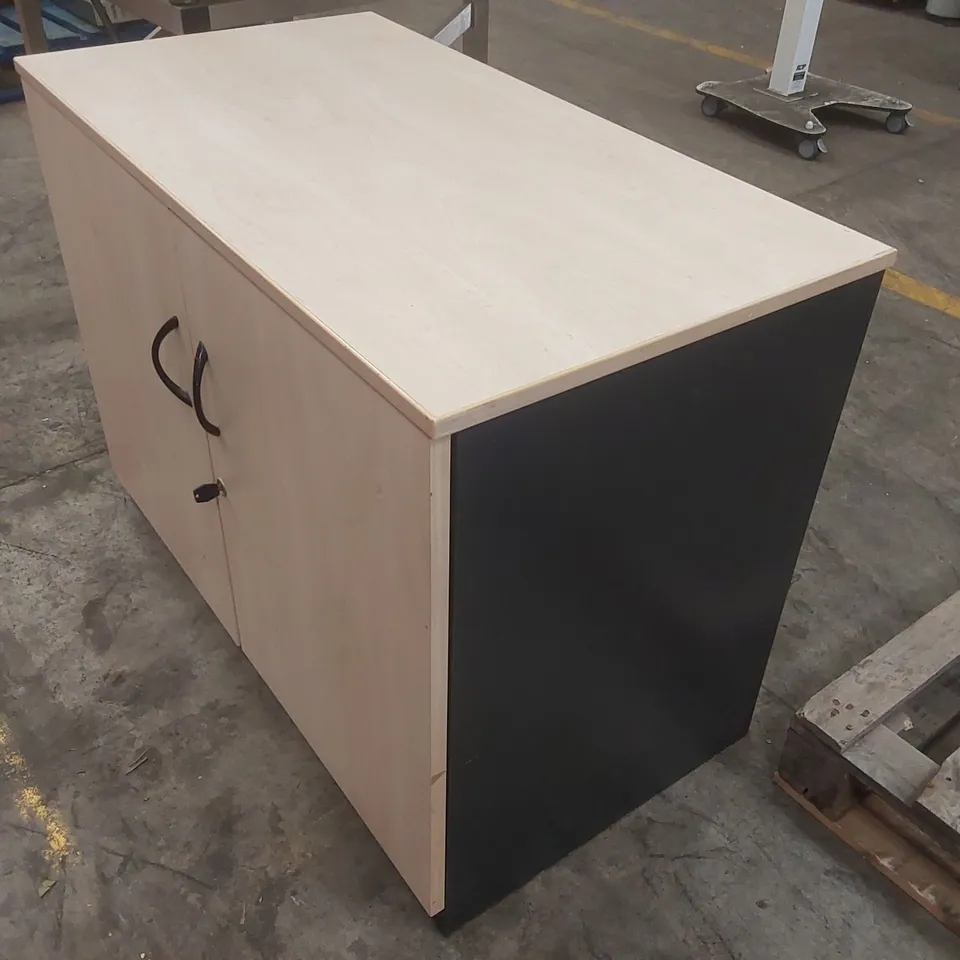 2-DOOR OFFICE CABINET