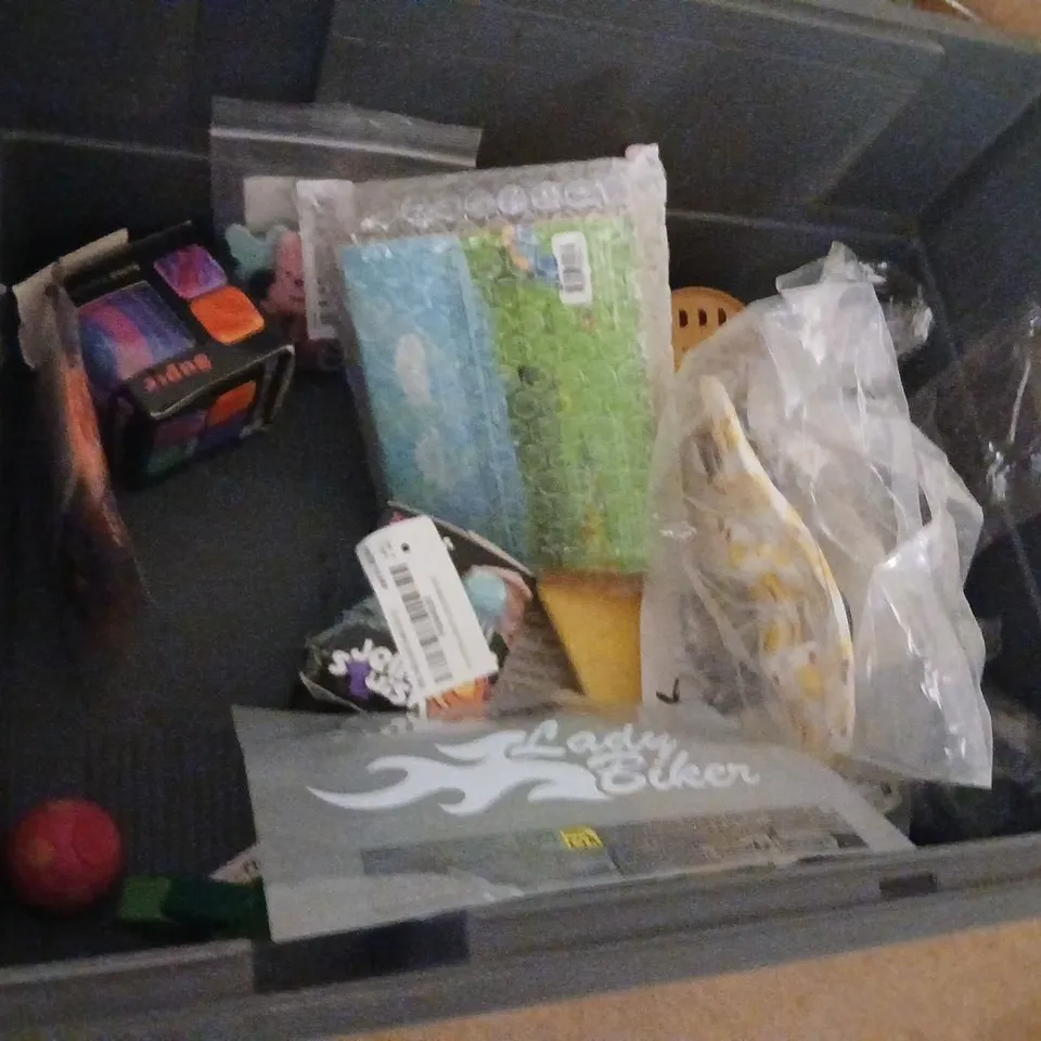 LARGE QUANTITY OF ASSORTED TOYS AND ACCESSORIES TO INCLUDE; CANDY CATS, SCENTERED CHANGE OF PAC PUZZLE, THEORY TEST EXPERTS FLASH REVISION CARDS, BUBBLE WAND AND MINI SQUISHY DUMPLINGS