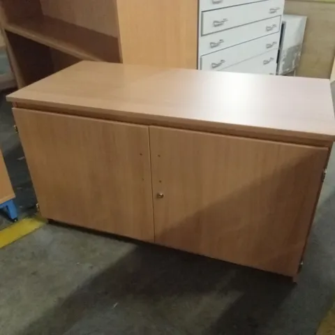 2 DOOR STORAGE CABINET