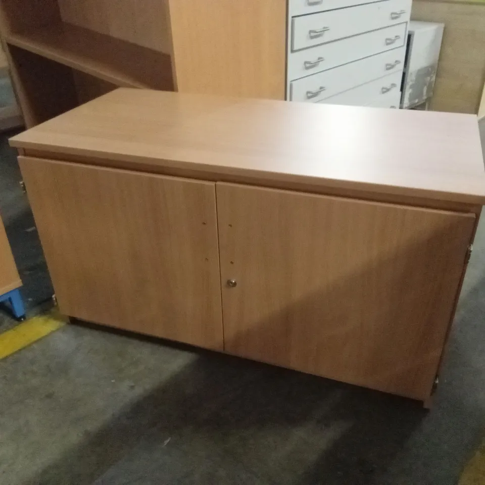 2 DOOR STORAGE CABINET