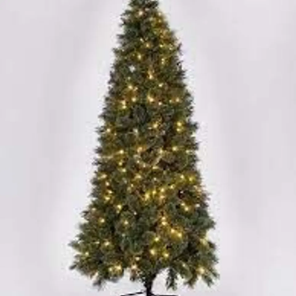 BOXED PRE-LIT SLIM CASHMERE TIPS 6.5FT CHRISTMAS TREE (1 BOX) RRP £159.99