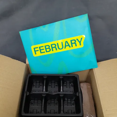 BOXED POT GANG SEED STARTER KIT - FEBRUARY 