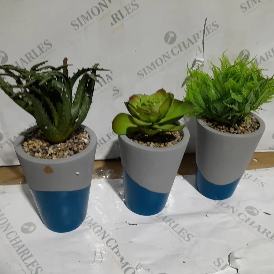 BUNDLEBERRY BY AMANDA HOLDEN SET OF 3 CONCRETE PLANTERS WITH FAUX PLANTS