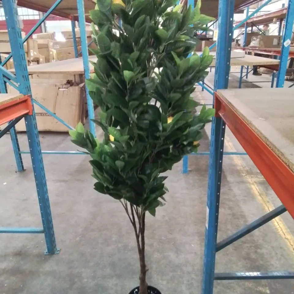 BOXED 150CM ARTIFICIAL LEMON TREE