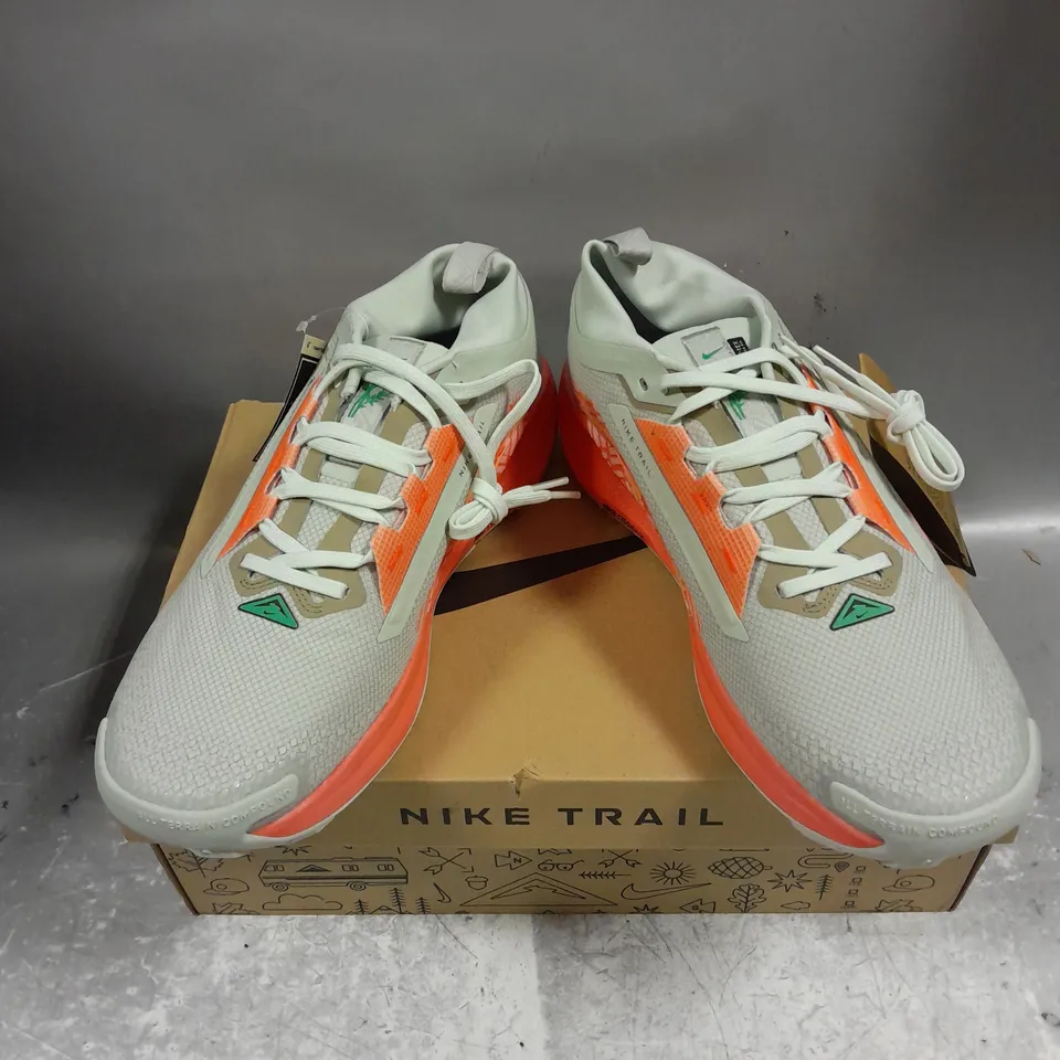 BOXED PAIR OF NIKE TRAIL PEGASUS 5 GTX TRAINERS IN LIGHT SILVER/HYPER CRIMSON SIZE UK 10