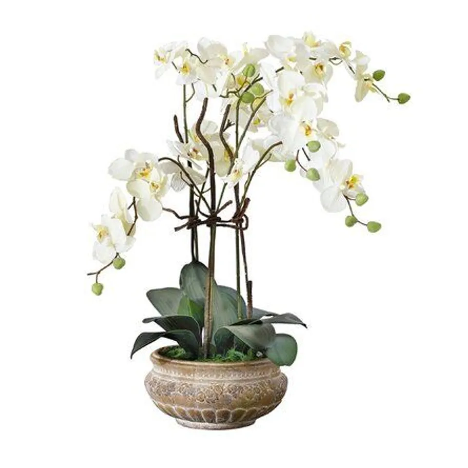 ORCHID CENTERPIECE IN PLANTER 