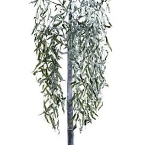 BOXED ALISON CORK 180CM PRE-LIT GREEN LEAF DETAIL INDOOR WILLOW TREE (COLLECTION ONLY)