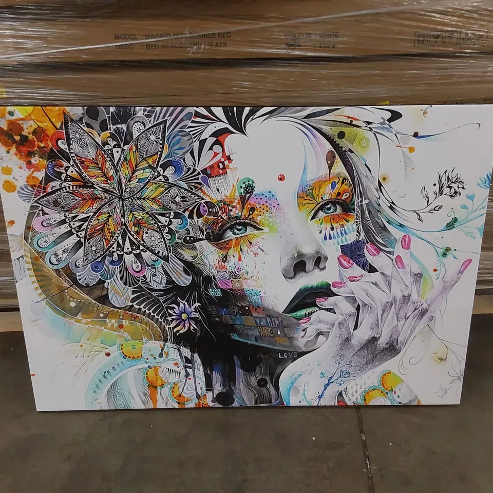 FEMALE FACE ABSTRACT COLOUR - WRAPPED CANVAS GRAPHIC ART 