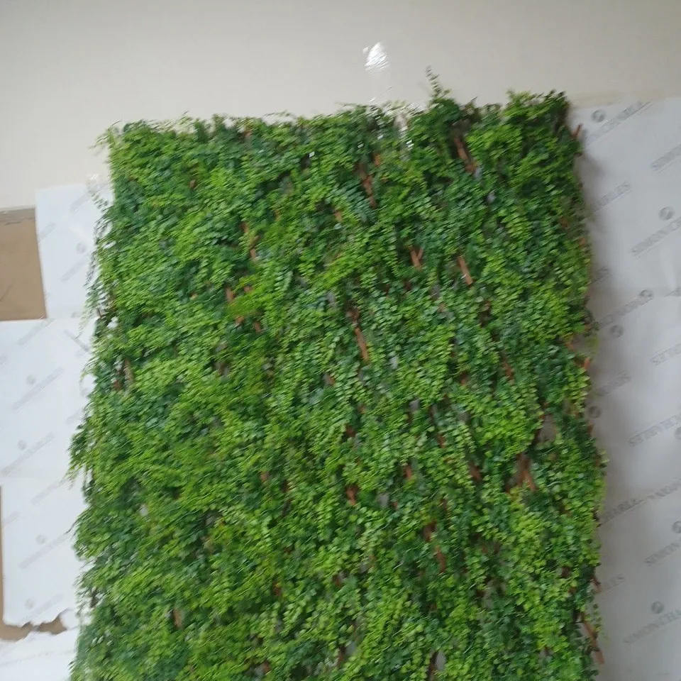 LIGHT UP LIVE WALL 100X200CM - COLLECTION ONLY