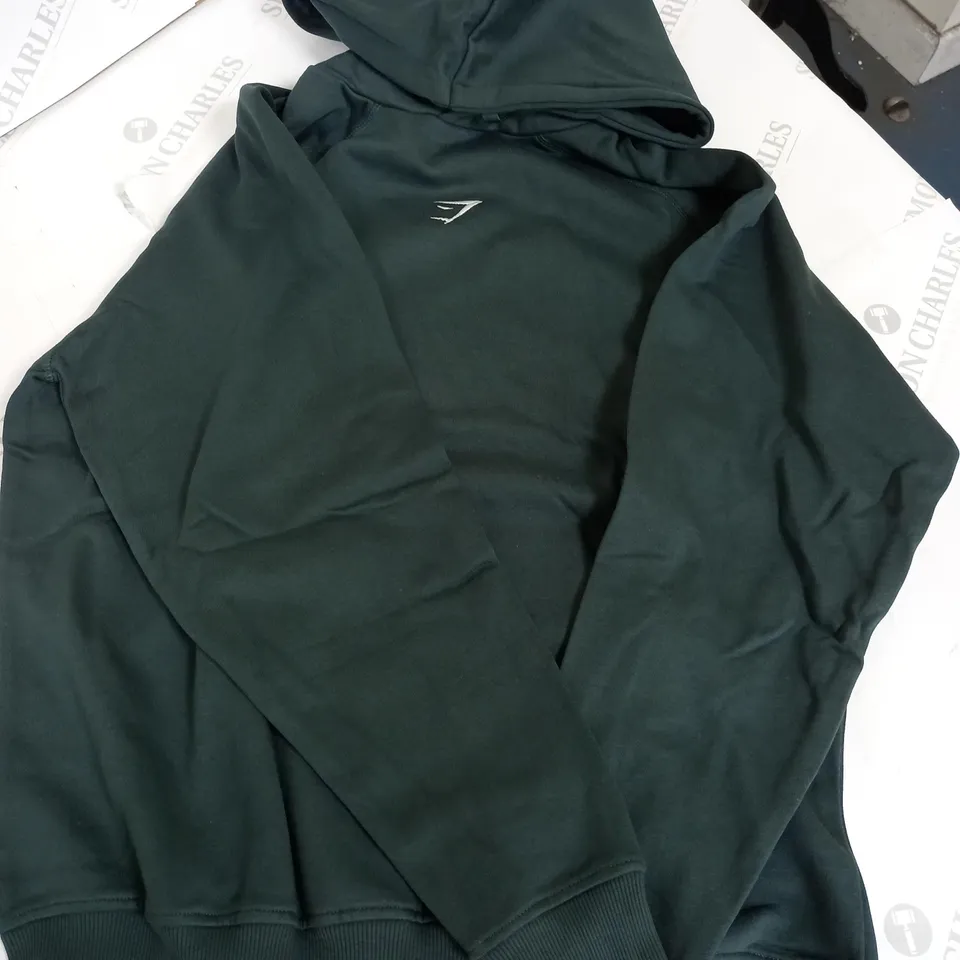 GYM SHARK TRAINING OVERSIZED FLEECE HOODIE - FOG GREEN - XS