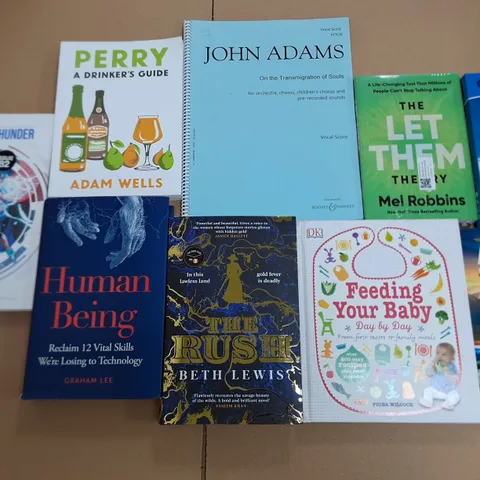 LARGE QUANTITY OF ASSORTED BOOKS TO INCLUDE FICTION & NON FICTION - COLLECTION ONLY