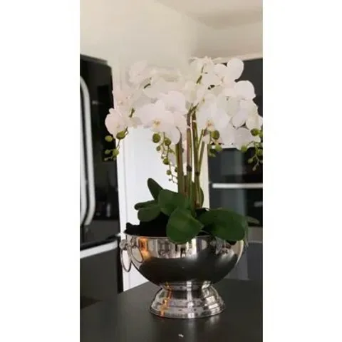 BOXED TALL ARTIFICIAL ORCHID ARRANGEMENT IN CHAMPAGNE BOWL (1 BOX)