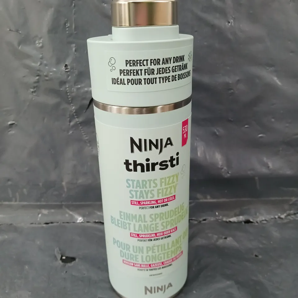 NINJA THIRSTI DRINKS CONTAINER IN MINT - 530ML	