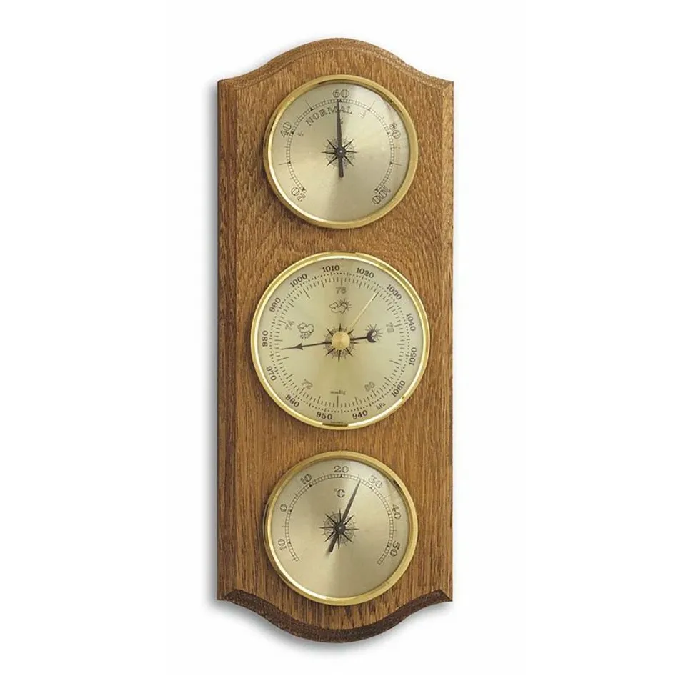 BOXED CITRONELLE WEATHER STATION