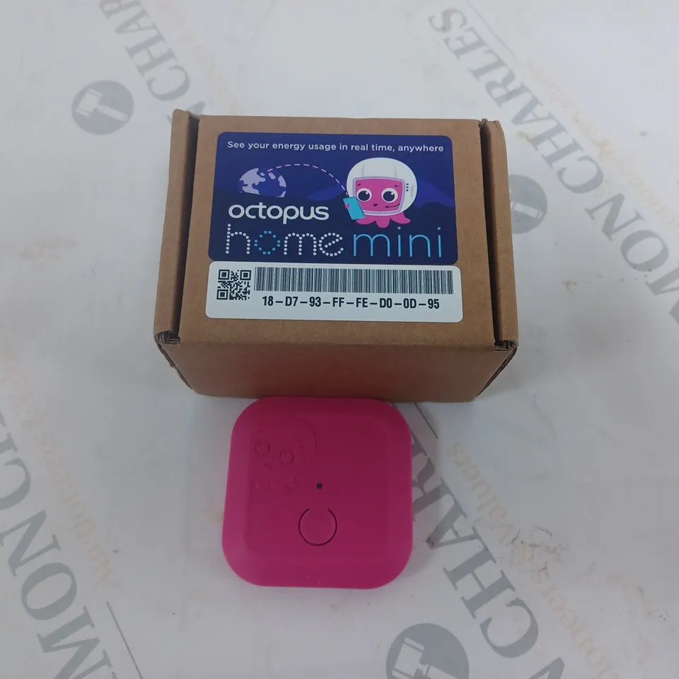 BOXED OCTOPUS HOME MINI