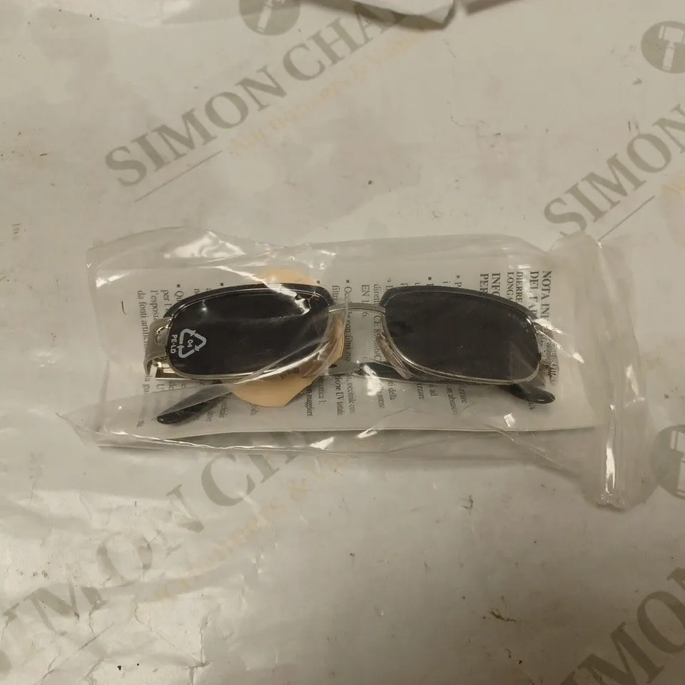 17 DE RIGO STING OCCHIALI GLASSES - 554276/0514