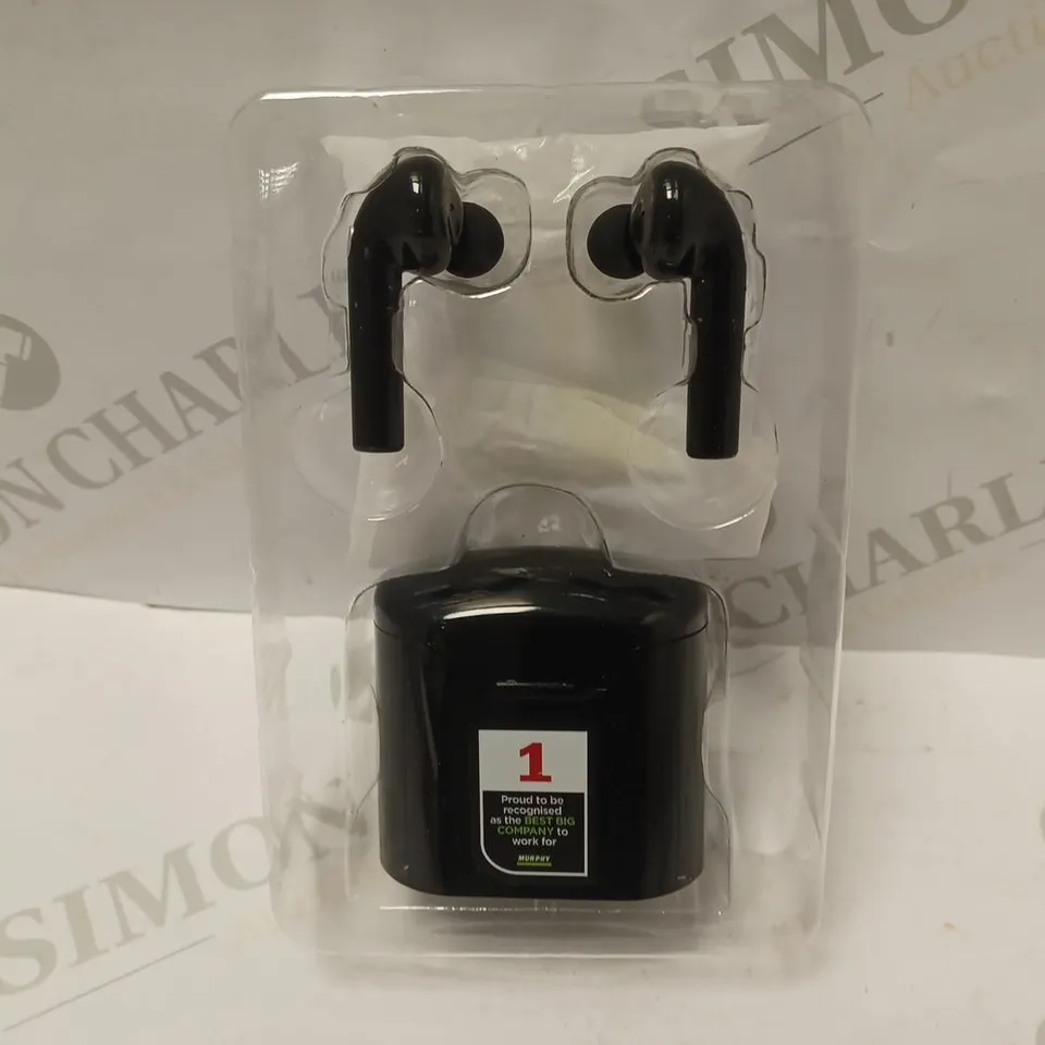 LIBERTY TWS EARBUDS IN CHARGING CASE