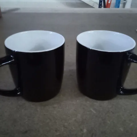 BOX OF 6 ARGON TABLEWARE - COLOURED COFFEE MUGS