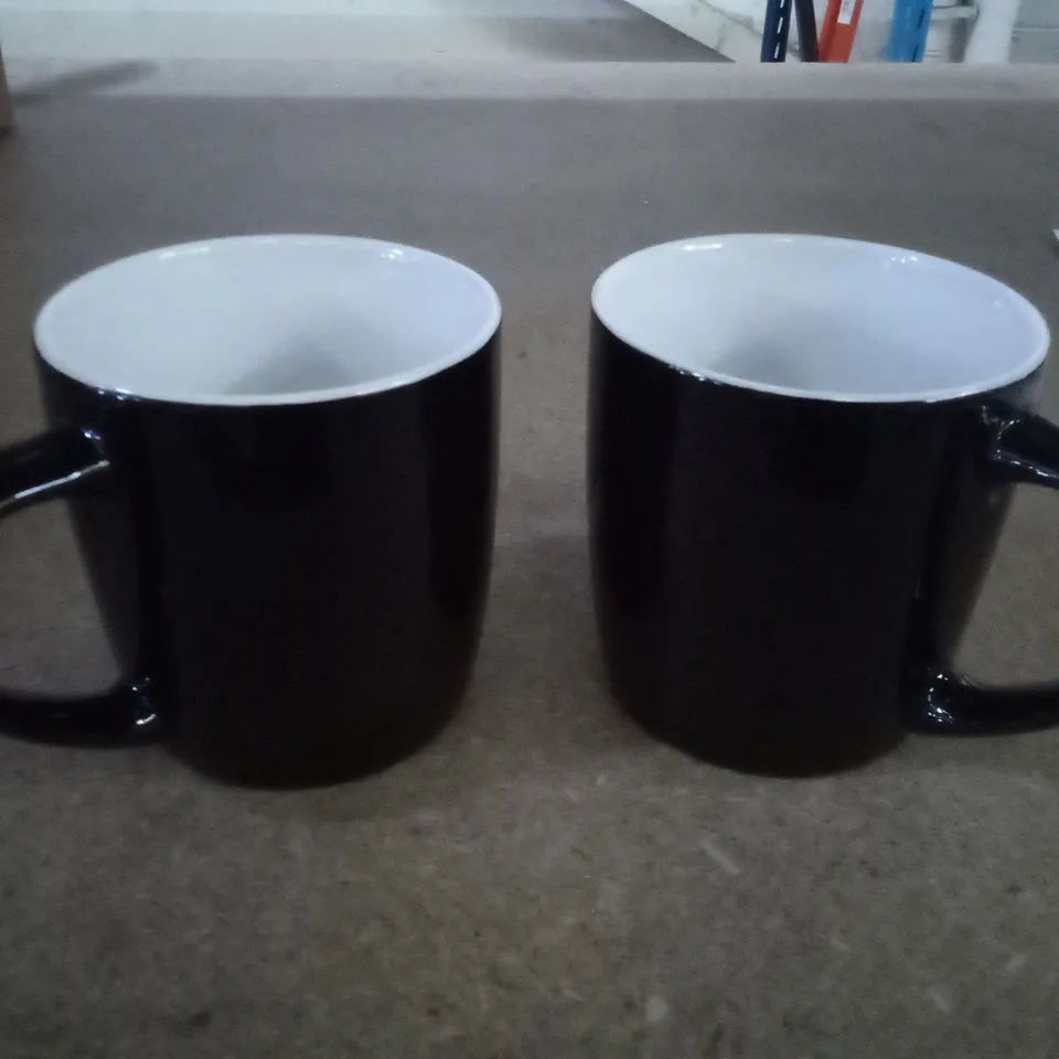 BOX OF 6 ARGON TABLEWARE - COLOURED COFFEE MUGS