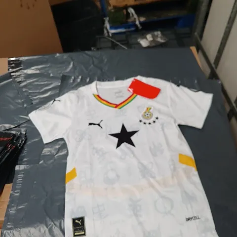 GHANA FOOTBALL ASSOCIATION JERSEY – PUMA, WHITE WITH RAINBOW TRIM, UK KIDS  18