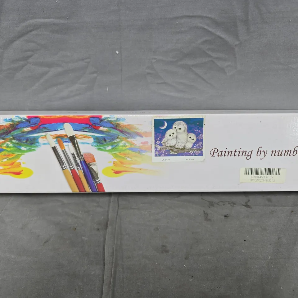 BOXED PAINTING BY NUMBERS ART SET 