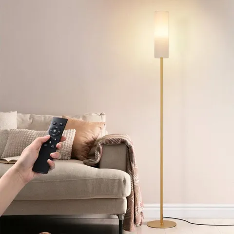 BOXED STEPLESS DIMMABLE FLOOR LAMP WITH REMOTE CONTROL (1 BOX)