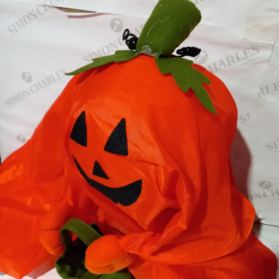 STANDING PUMPKIN GHOST RRP £29.99